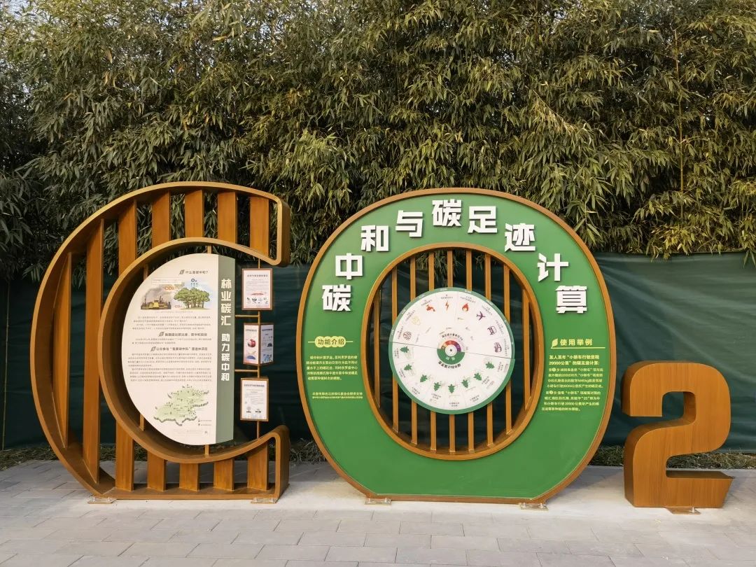 个人如何实现双碳目标,个人如何深度参与碳中和