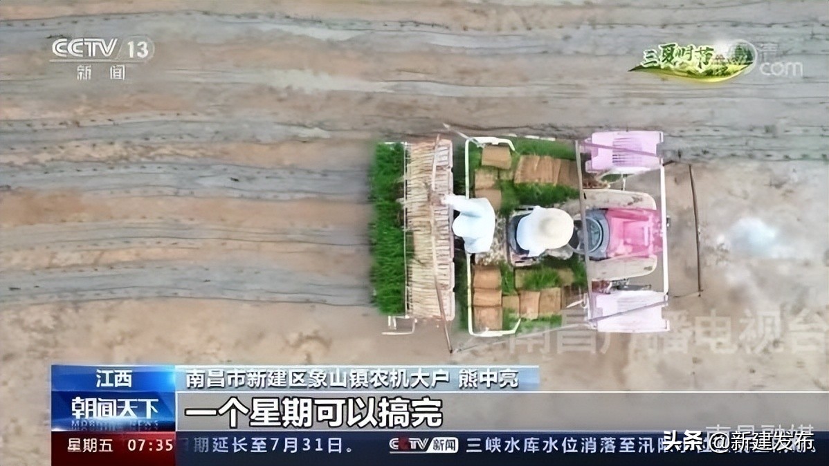央视《朝闻天下》和《新闻直播间》关注新建区中稻栽播