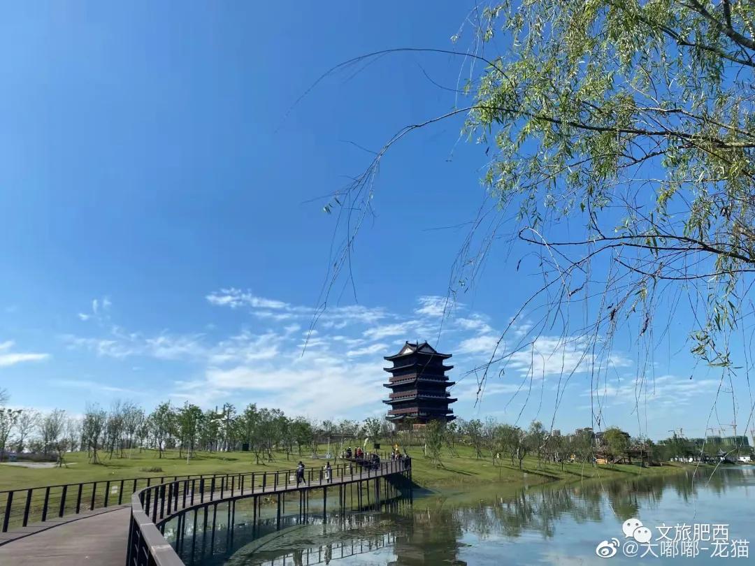 原来，在社交平台中，肥西的真实风景是这样的