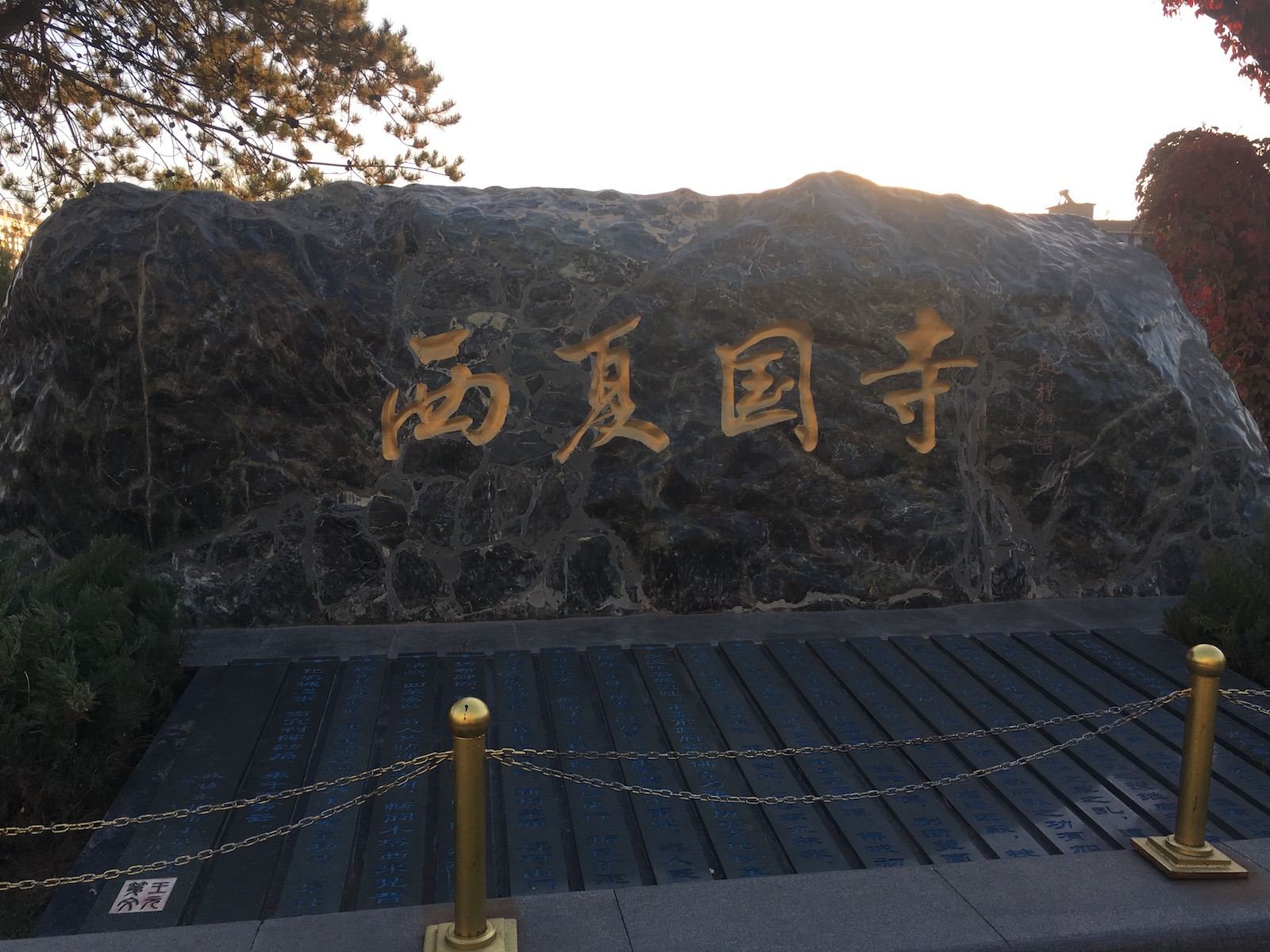 北京自驾额济纳胡杨林十天攻略,从北京到额济纳胡杨林线路