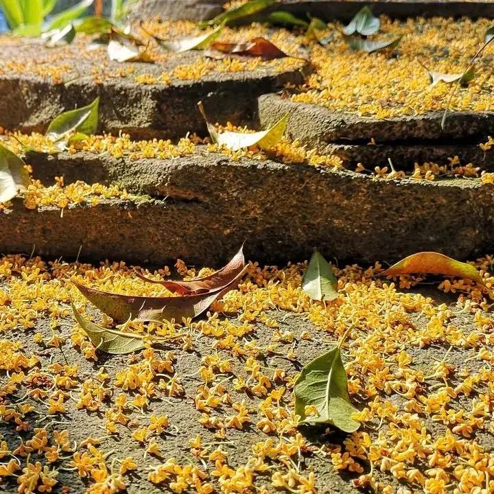 杭州购物攻略必去的地方,杭州打卡必去的地方