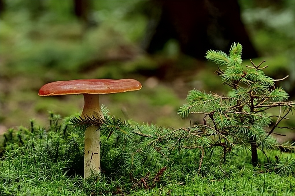 不要让4种人来你家串门,三种人不能随便去别人家串门