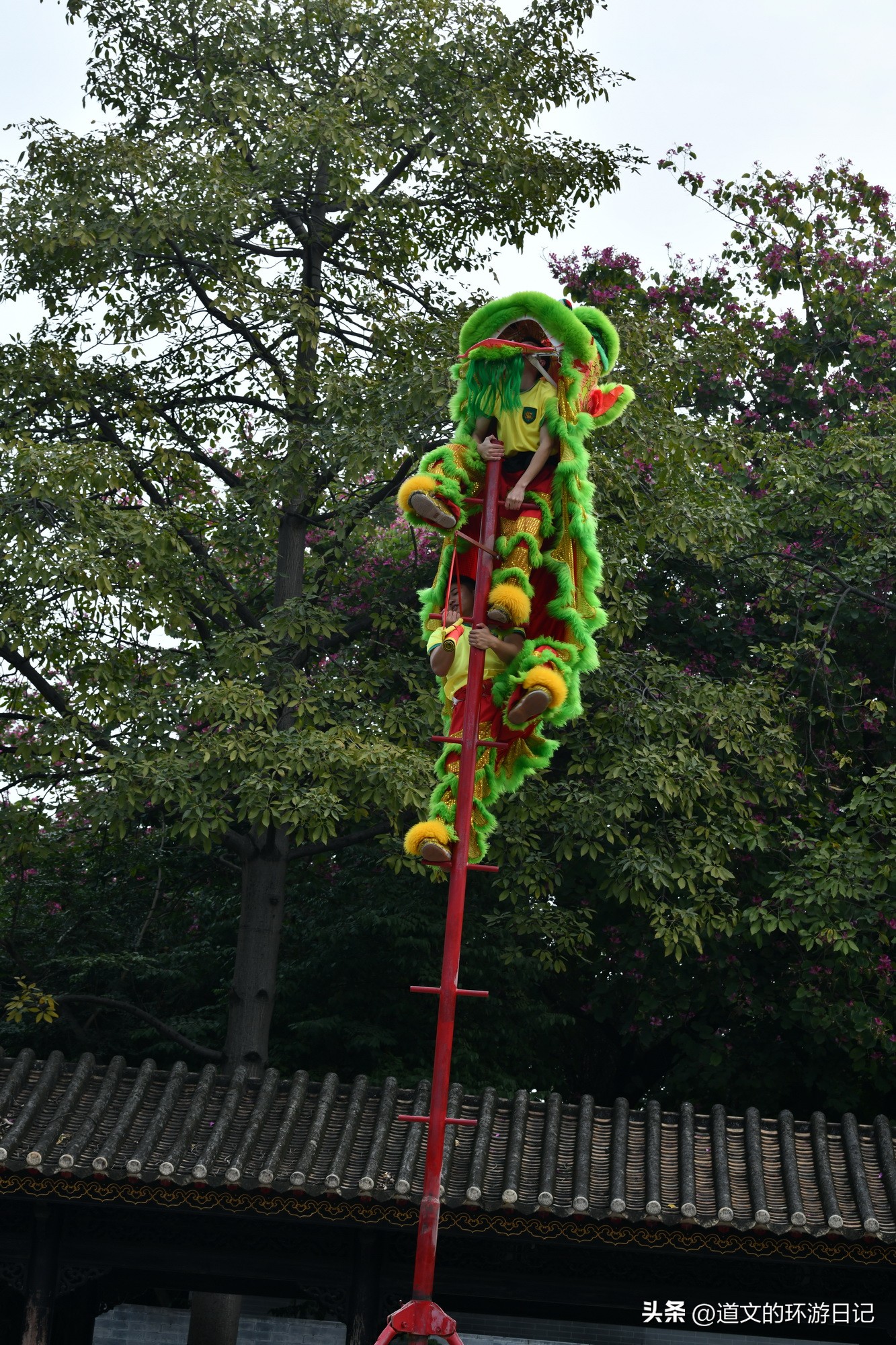 佛山黄飞鸿舞狮表演在哪里看,佛山黄飞鸿纪念馆舞狮表演感悟