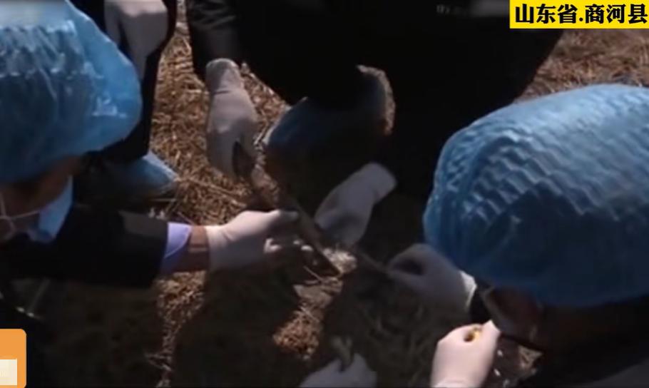 2010年，男子雇*杀凶**情人的丈夫遭反杀，刑警：电视剧都不敢这么演