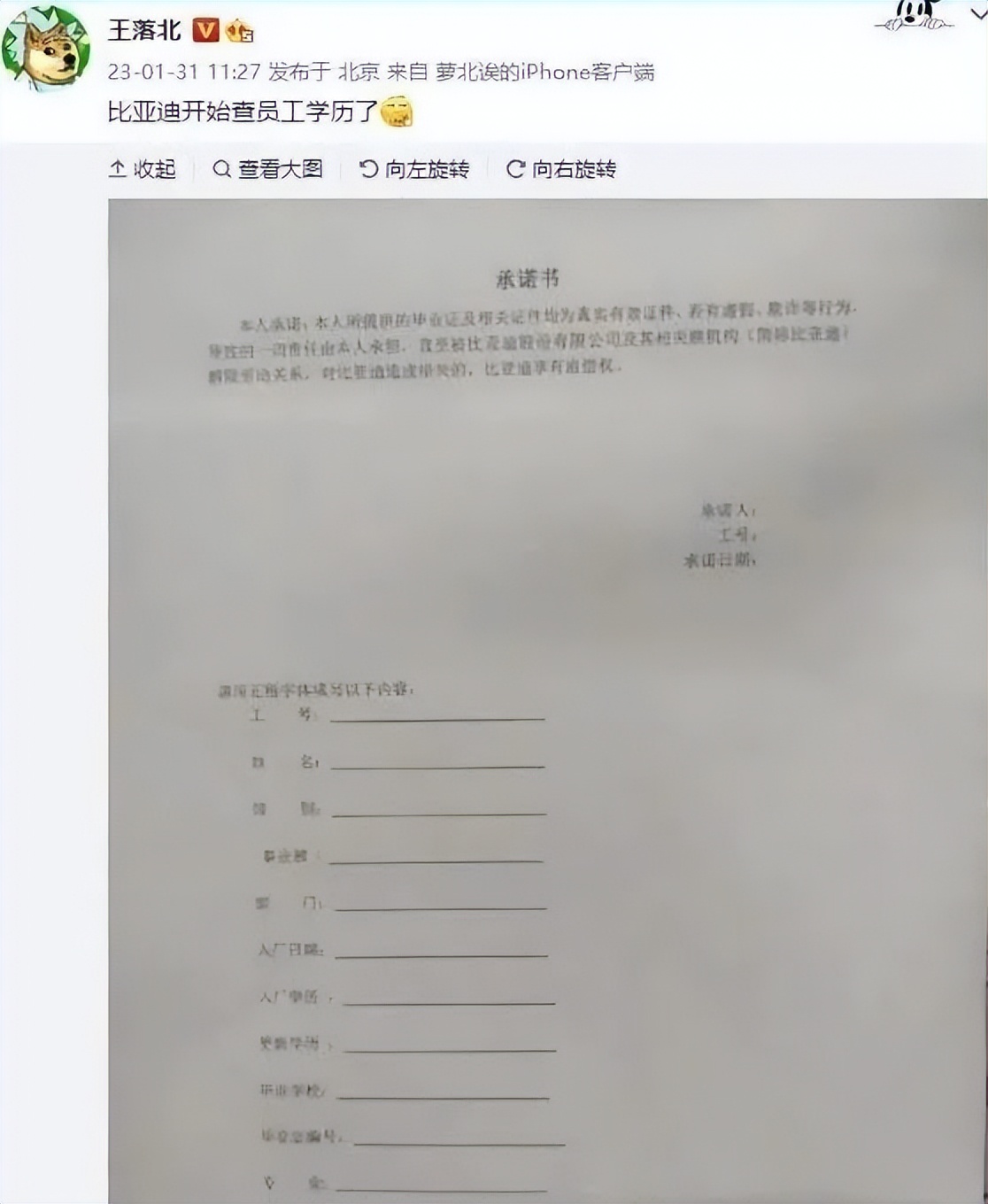 终结“花钱买证”“*证假**”时代！学历信息透明，假学历一定不可取