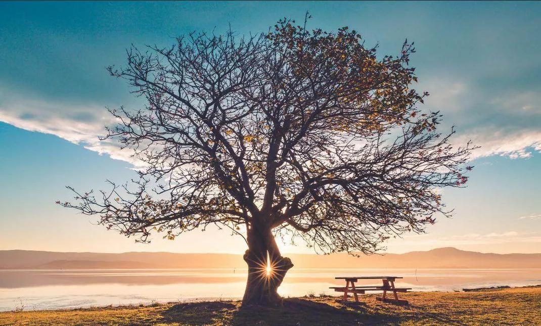 新闻宣传的5要素,新闻和宣传之间的联系