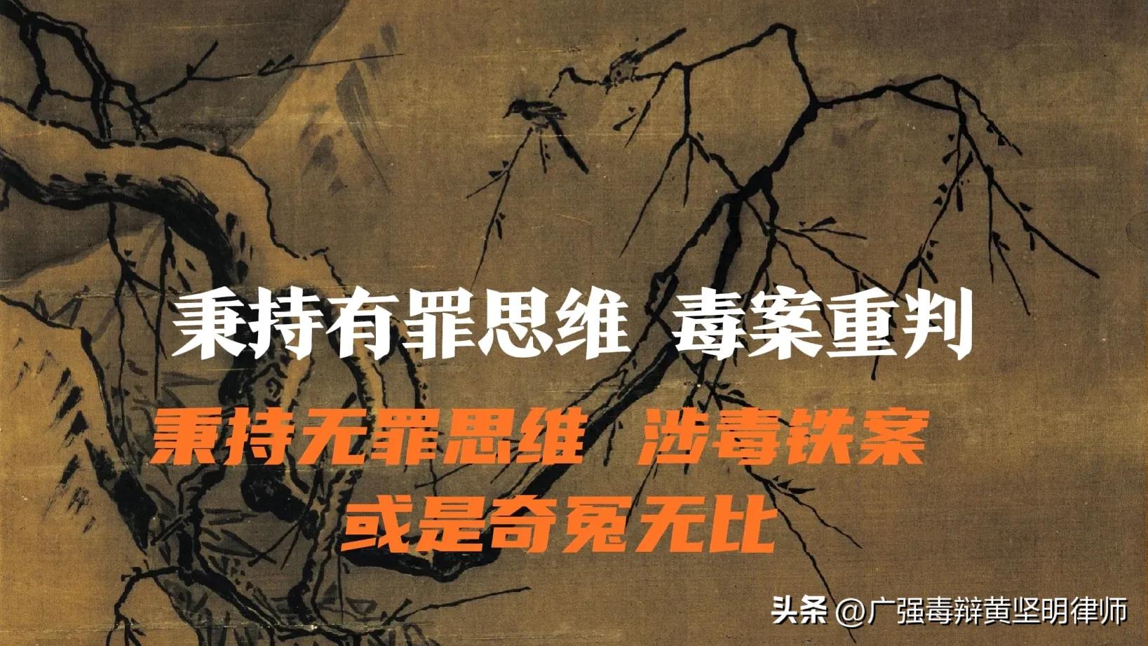 毒案无罪辩护成功案例,无罪辩护揭露重大刑事案件内幕