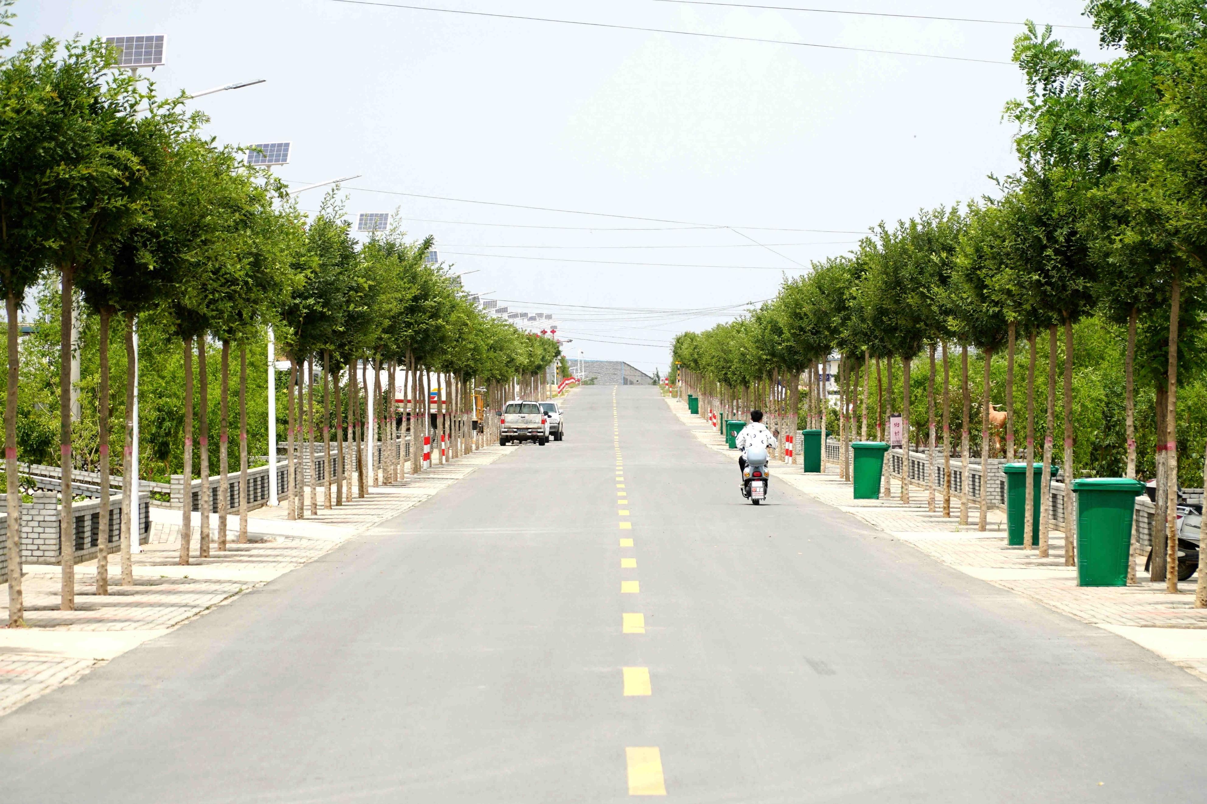 外国记者探访中国治沙造林,银川弘德村移民