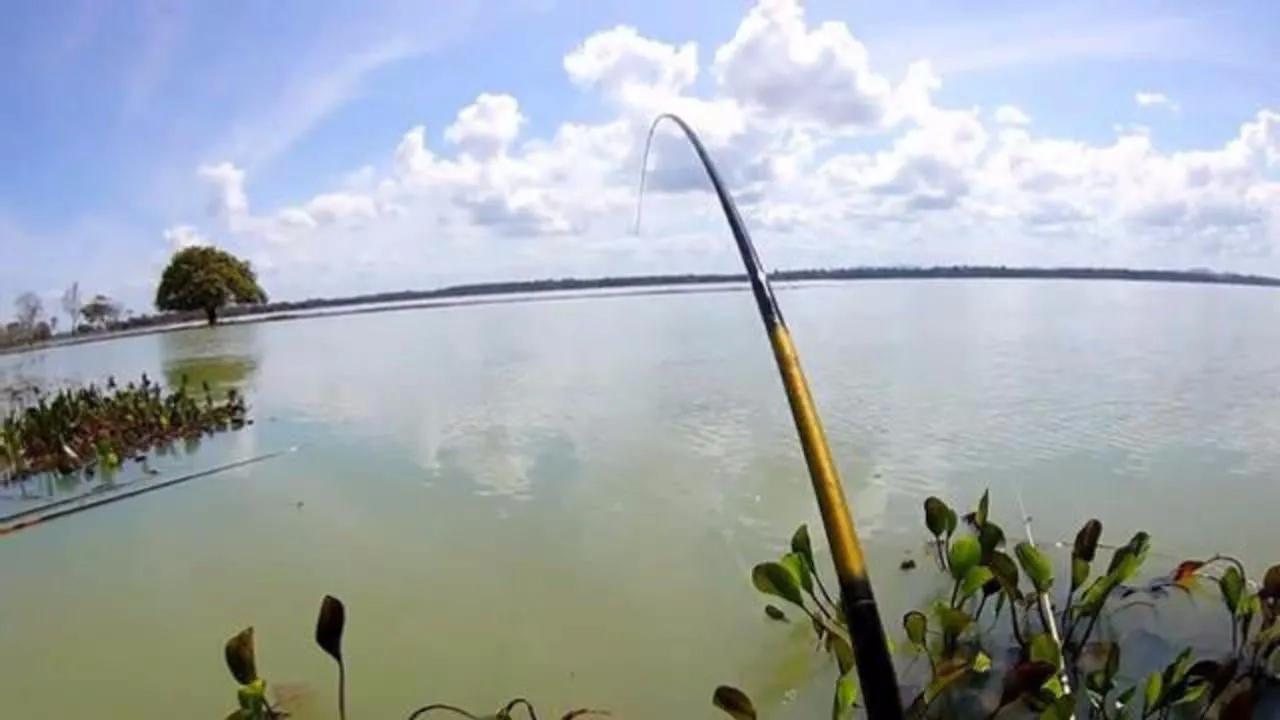 钓鱼十大名牌鱼竿推荐,钓鱼人必备的高端鱼竿品牌