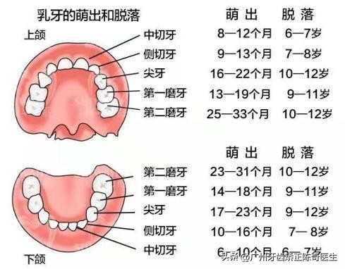 小孩子大牙蛀牙严重怎么办,为啥有的小孩满嘴蛀牙都掉完了