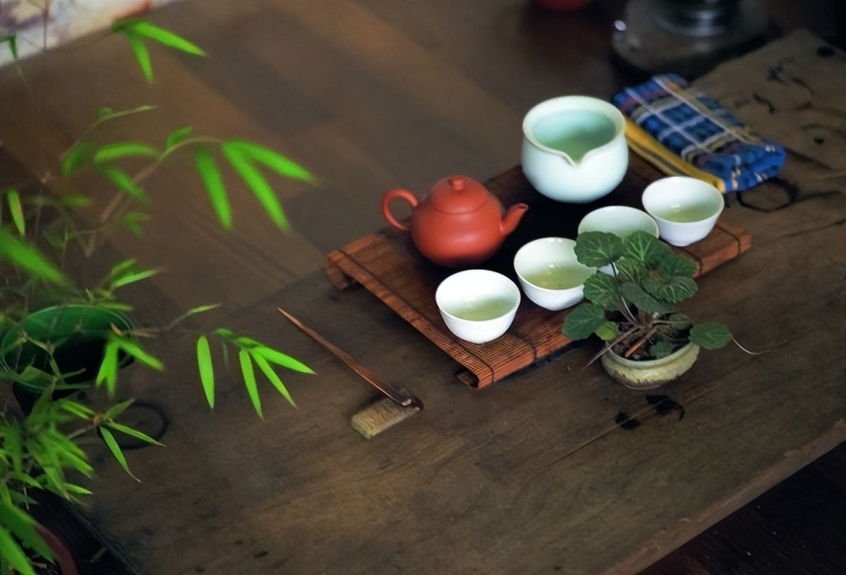 买茶踩坑的正确方法,买茶避坑指南百科