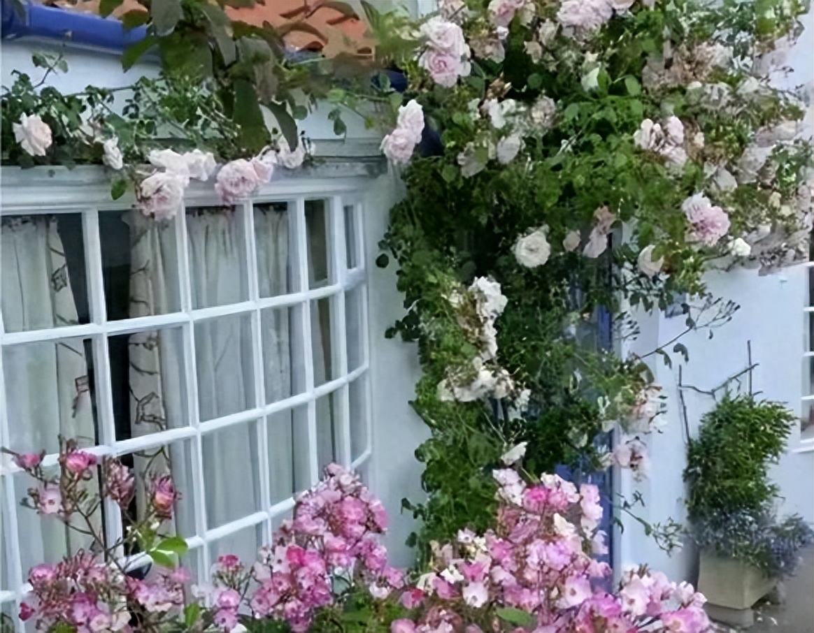 我67岁，生病住院儿女都不愿意照顾我，最终我一个决定让他们后悔