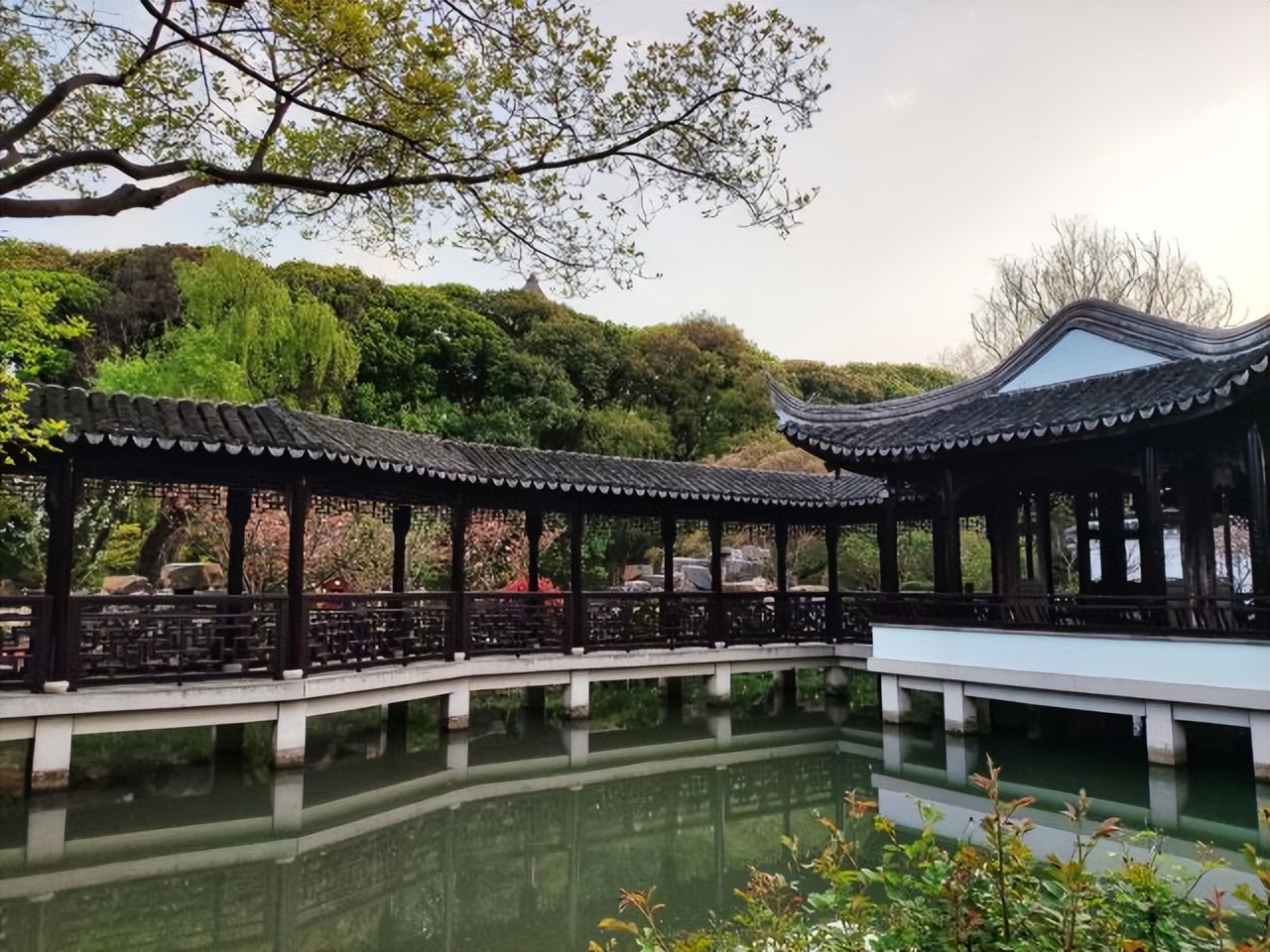 苏州旅游景点大全一日游最佳路线,苏州旅游景点攻略一日游推荐路线