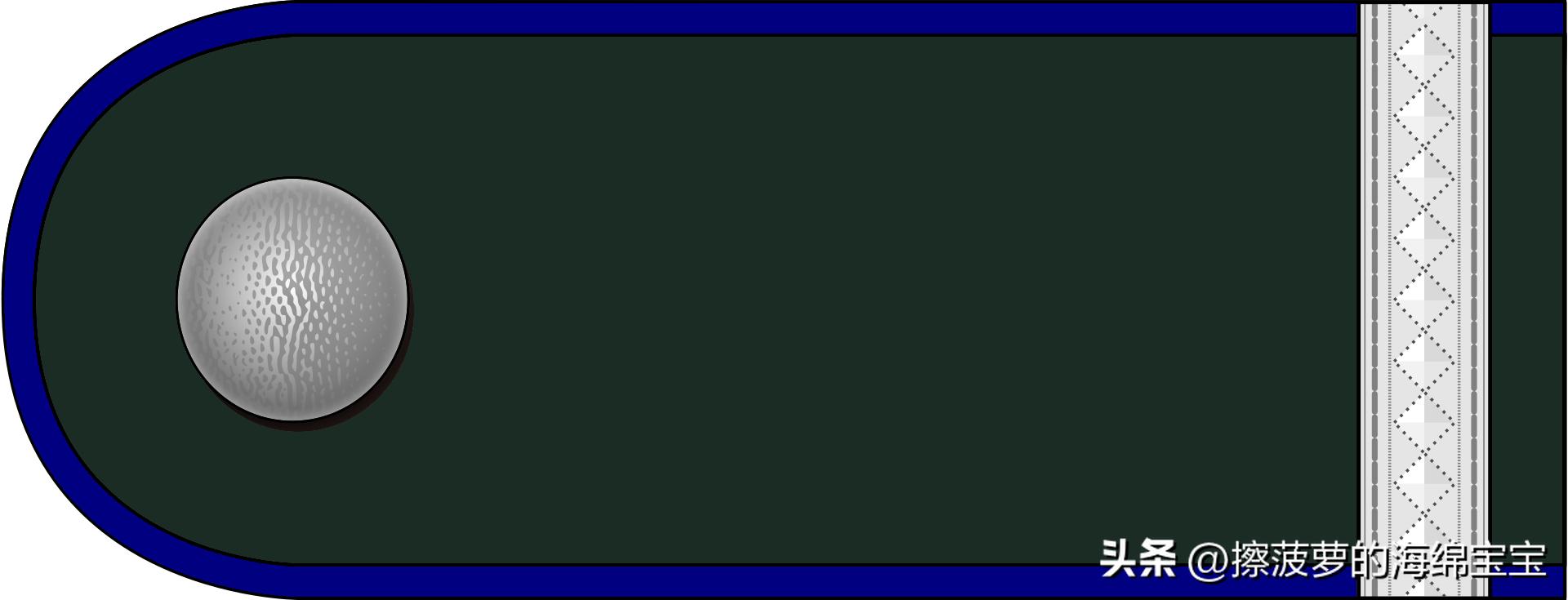 二战德国国防军医疗兵军衔标志