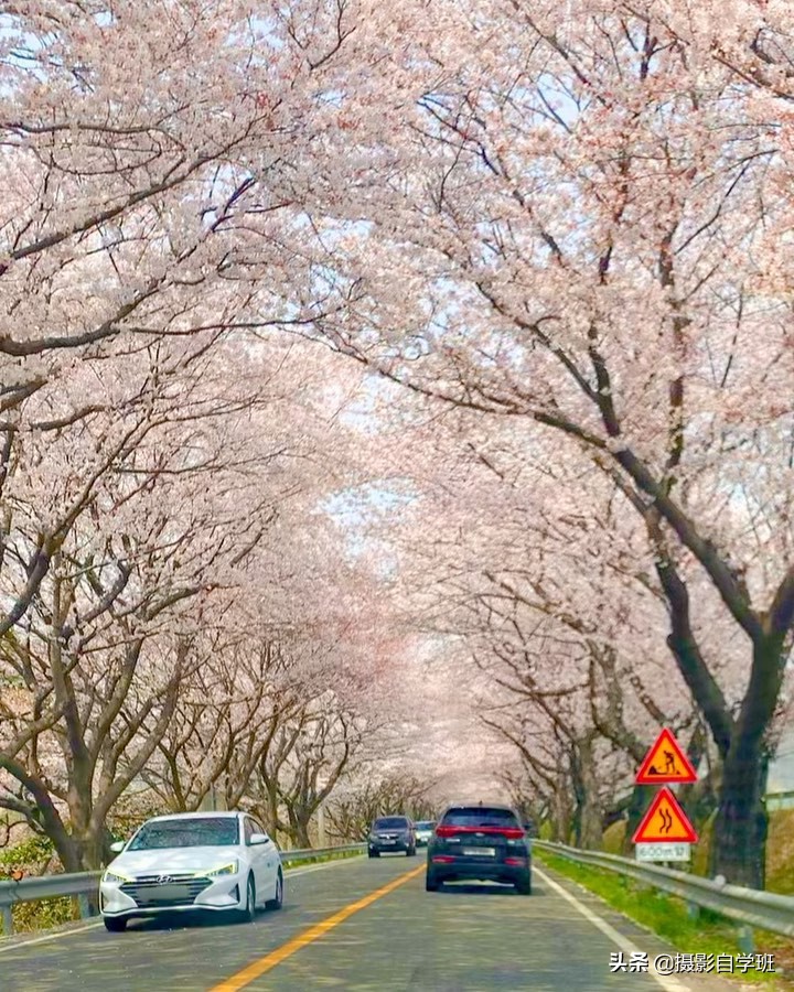 把景色拍得很好的滤镜,把景色拍圆