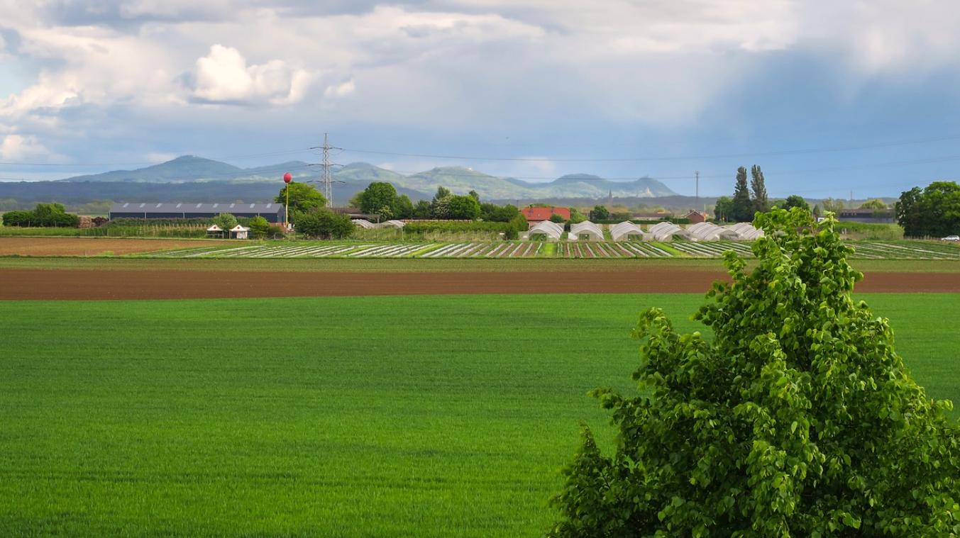 小学单词词汇量人教版,单词王轻松搞定小学必考800词