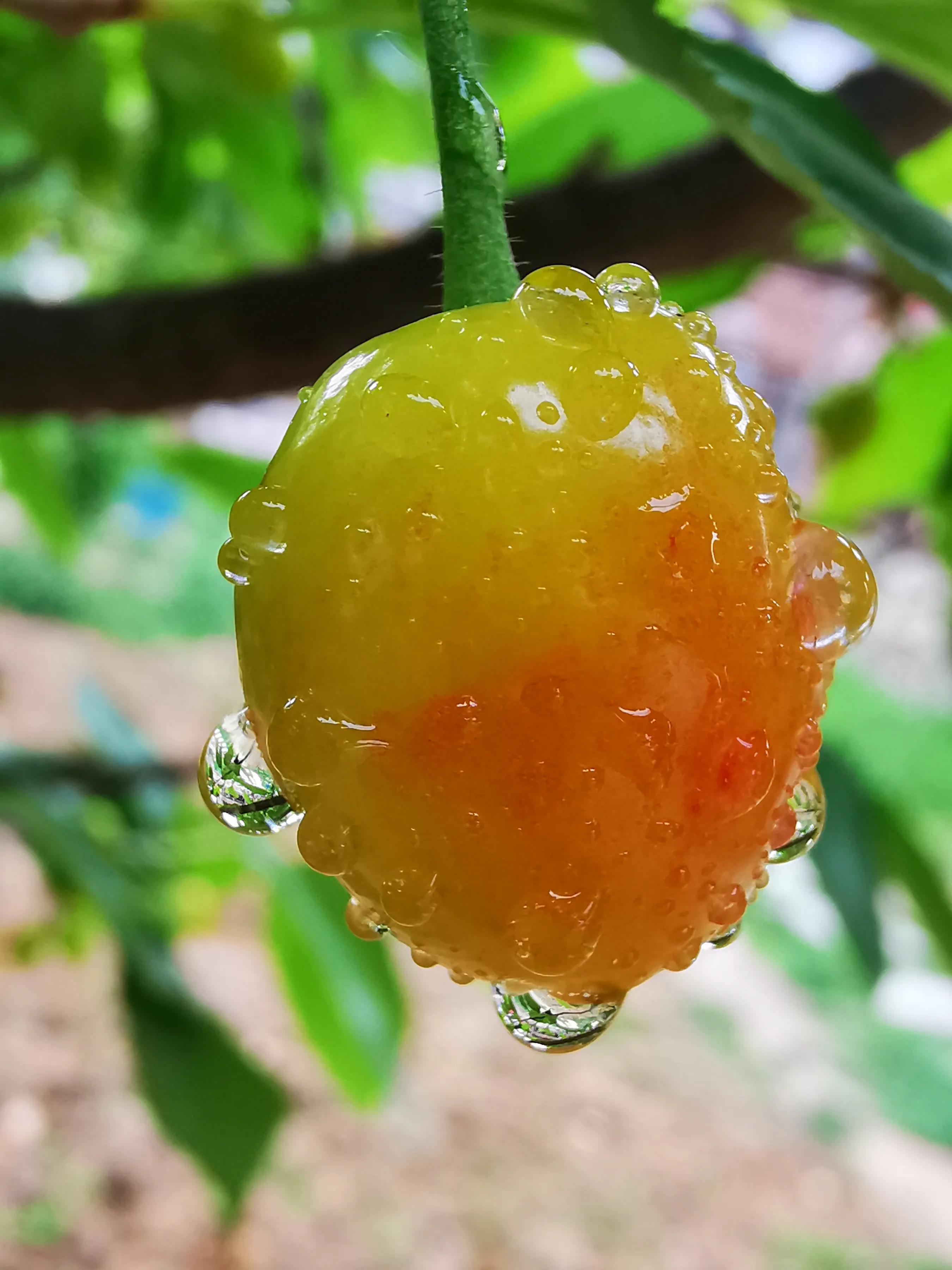 手拍世界近期作品,手拍世界完整版视频