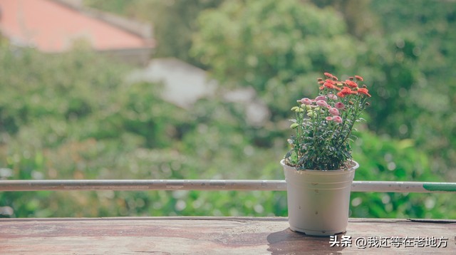 新房不给亲戚住有错吗,新房不想让亲戚住