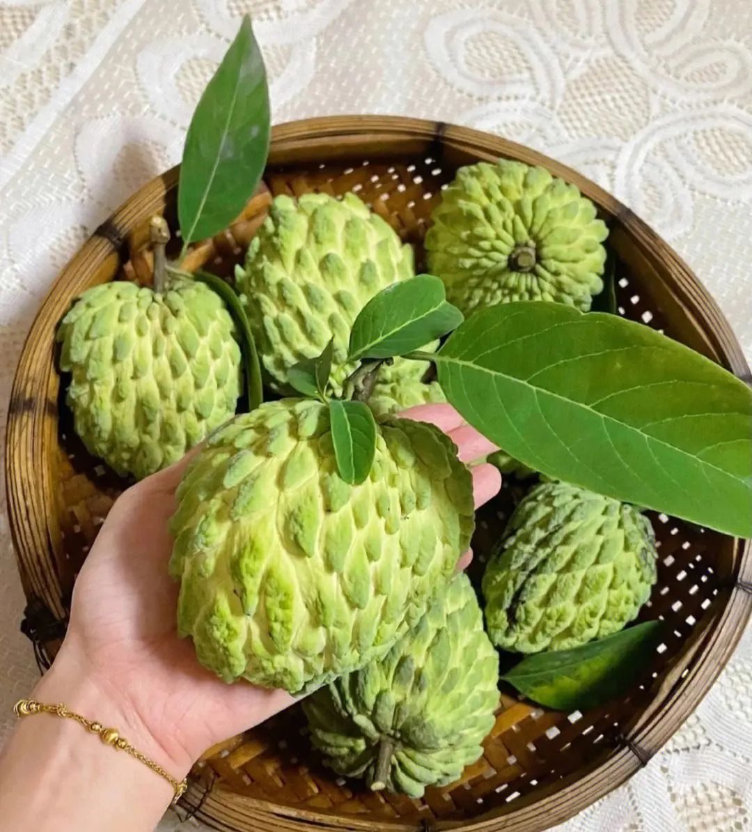 台湾莲雾凤梨释迦菠萝大幅滞销,台湾菠萝果番荔枝严重滞销