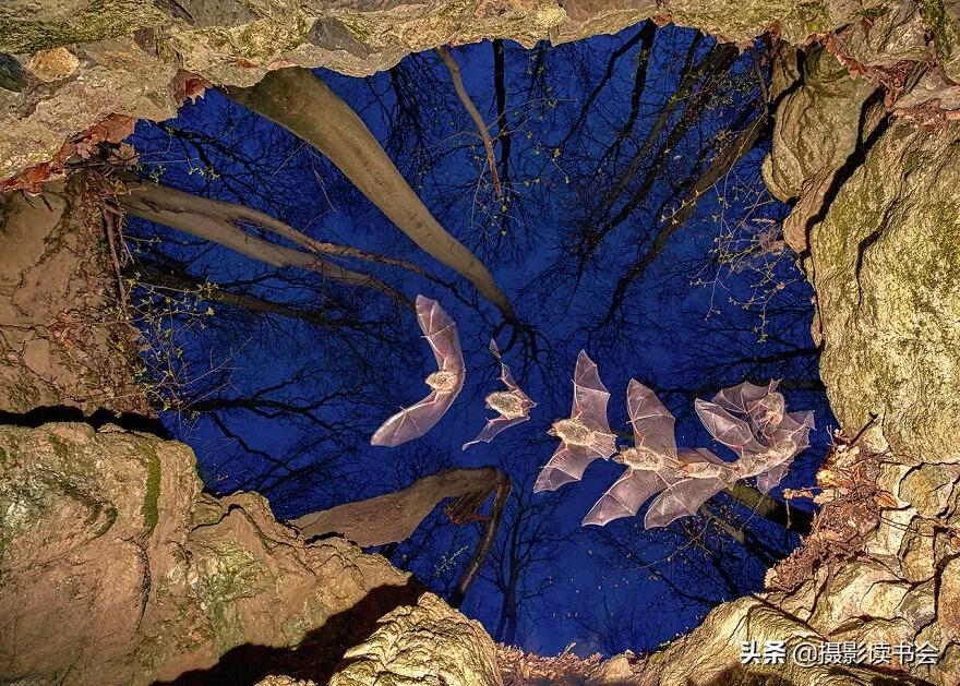 2018年度最佳摄影照片,创造出令人惊叹的自然摄影照片