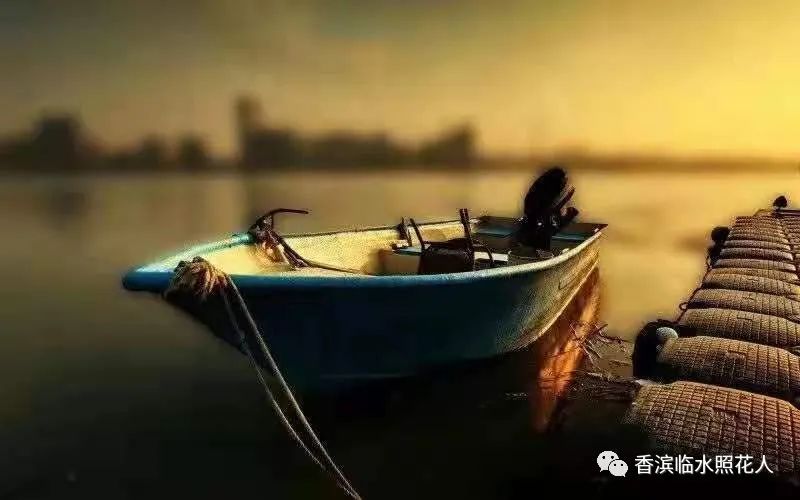 【思维导图“画”作文】王俊廷的看图写话——金色的沙滩（7）