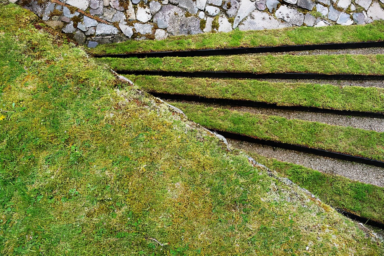 在花园中思考宇宙——詹克斯宇宙思考花园