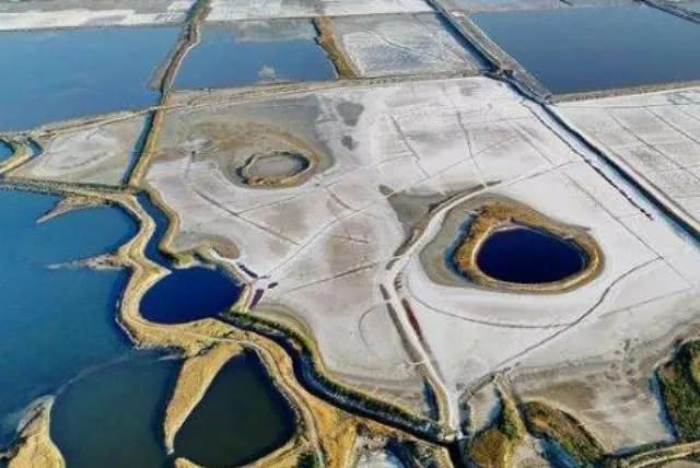 客随主便古文,客随主便造句