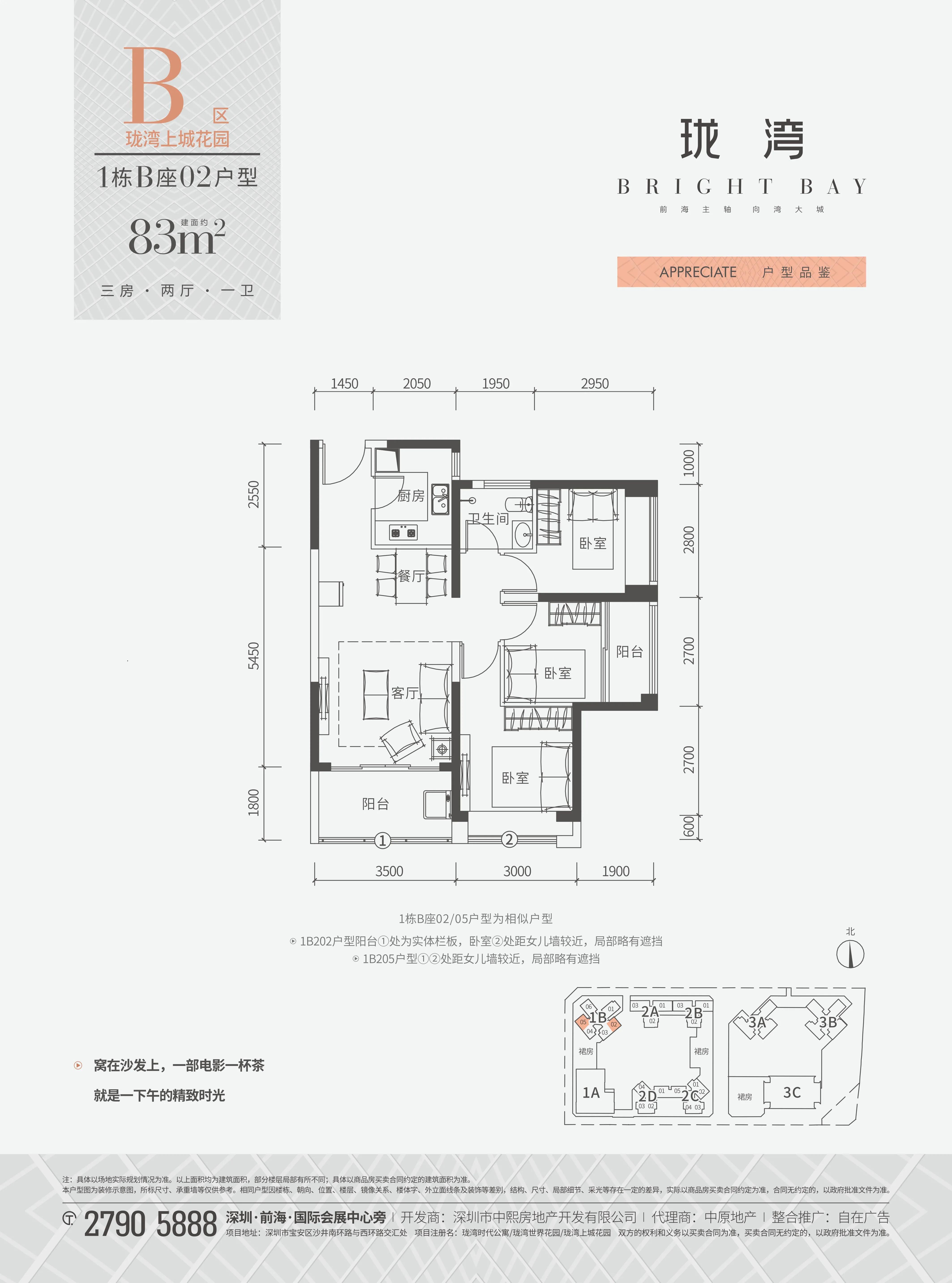 教育集团化办学成为趋势,深圳沙井新增4所集团学校