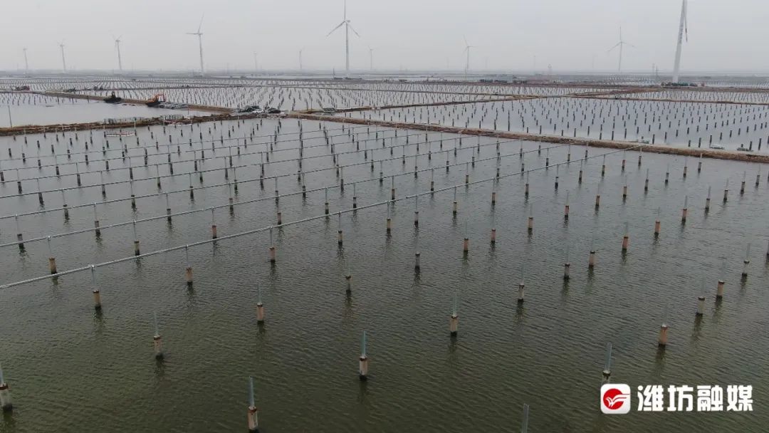 凝心聚力抓项目铆足干劲促振兴,大干四季度重点项目推进