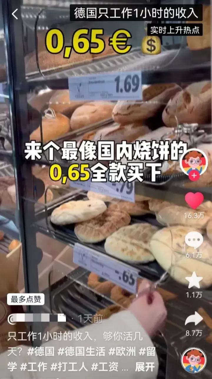 德国最低时薪人民币,德国最低时薪挑战