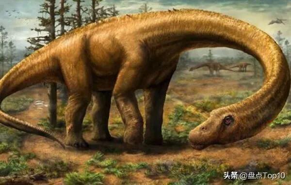 体型最大的十种肉食恐龙,十大食肉恐龙体型排名