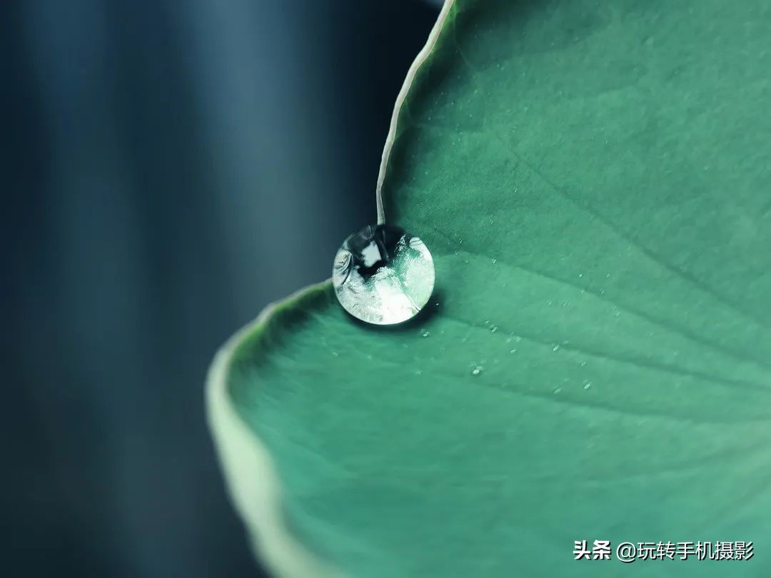 五月给你点“颜色”瞧瞧！照片想出圈，这样拍就对了