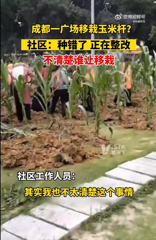 挖呀挖呀挖原版搞笑视频,挖呀挖呀挖抖音搞笑