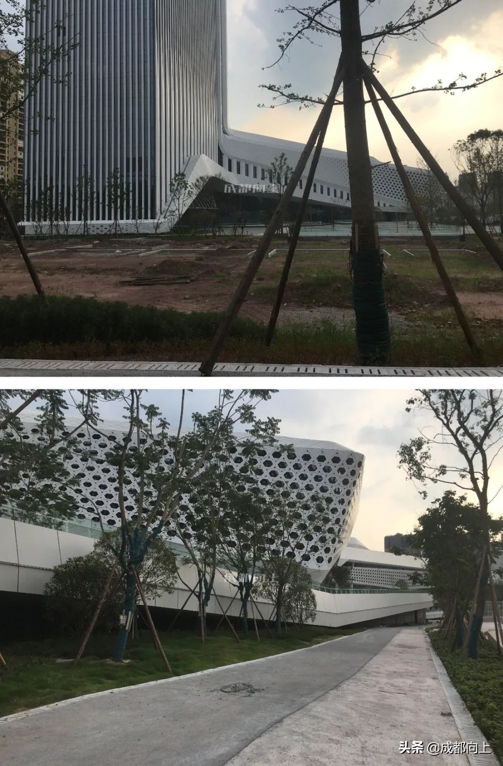 被吹爆的成都国际城南，居然没有拿得出手的体育场馆？