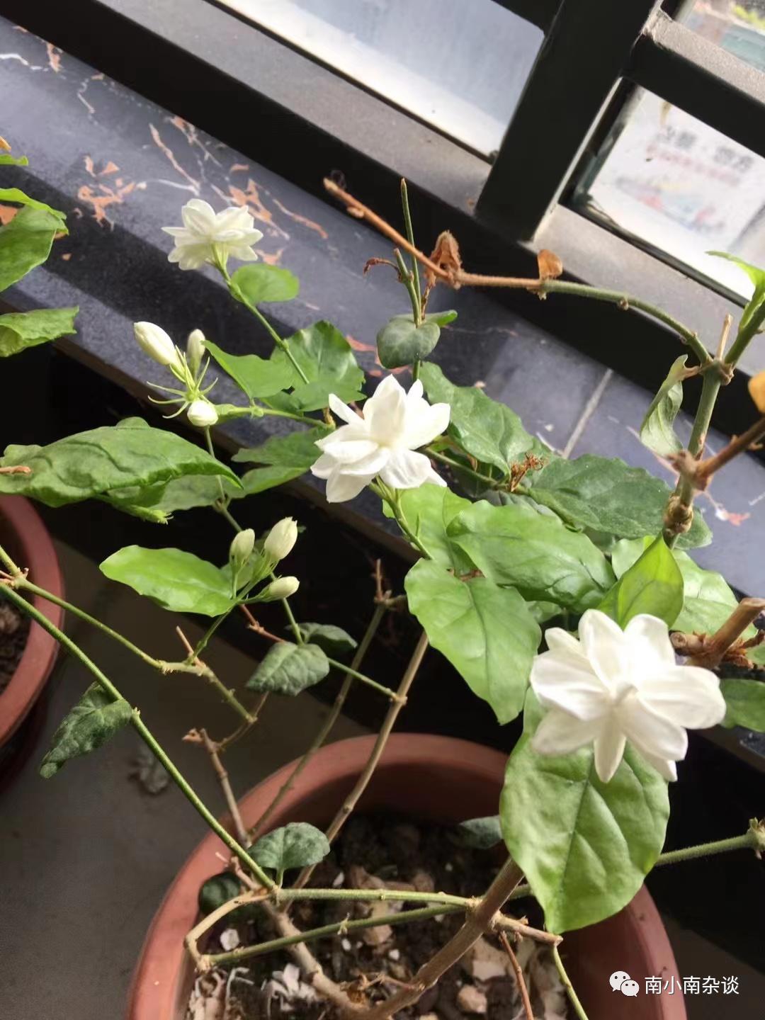 成年人的生活仪式感都是自己给的,生活需要仪式感矫情一下又老一岁