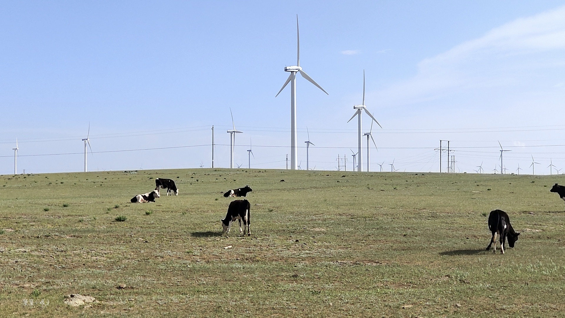 内蒙古草原自驾游景点排名榜最新,乐享内蒙六日游内蒙古避暑胜地