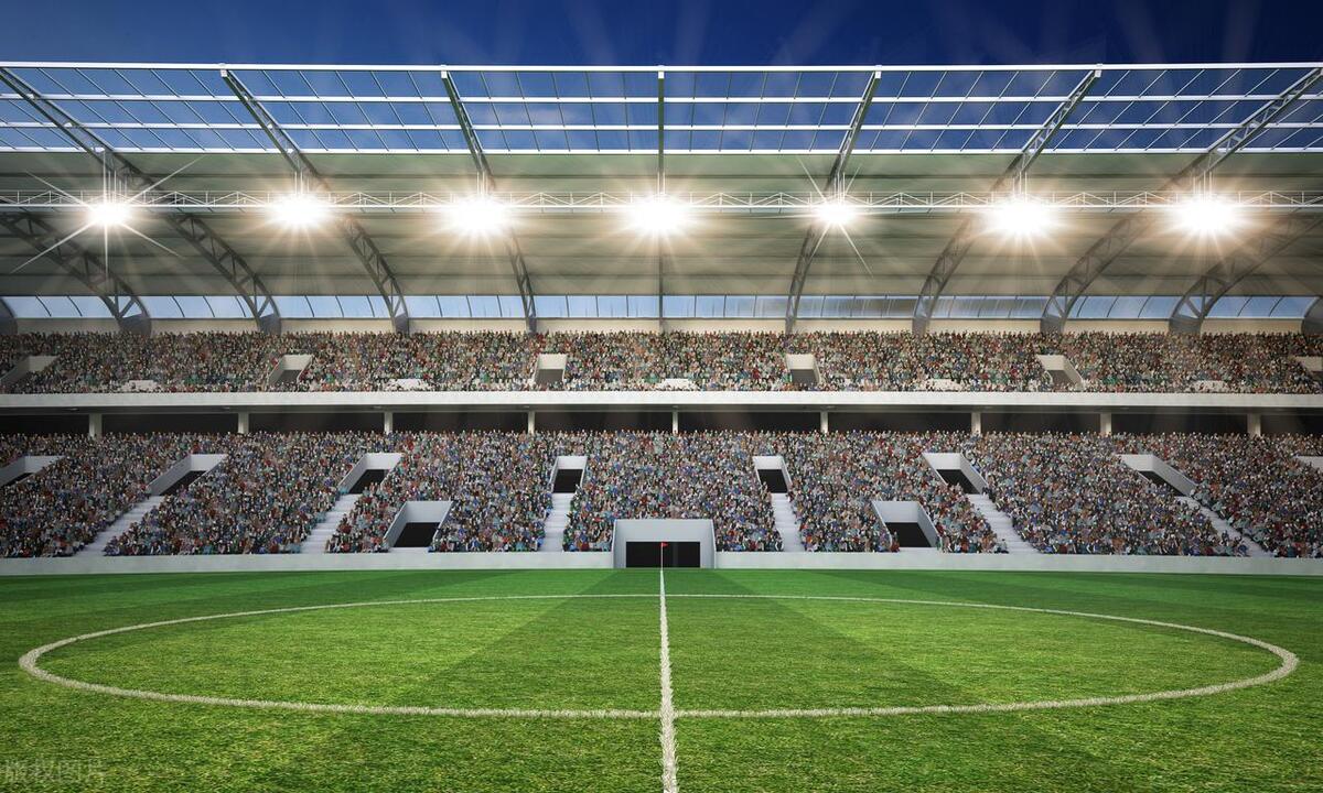 张再林身体哲学,张再林的英语