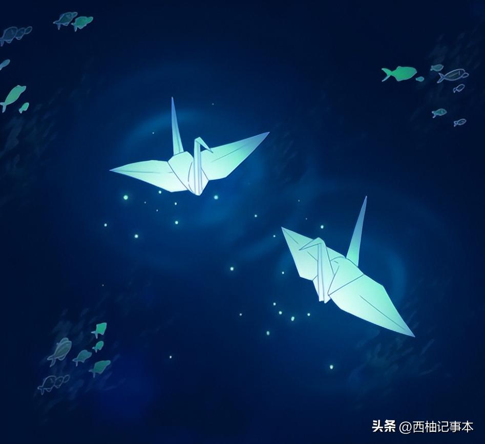 人死后会去哪里？来听一听濒死体验者的亲口讲述