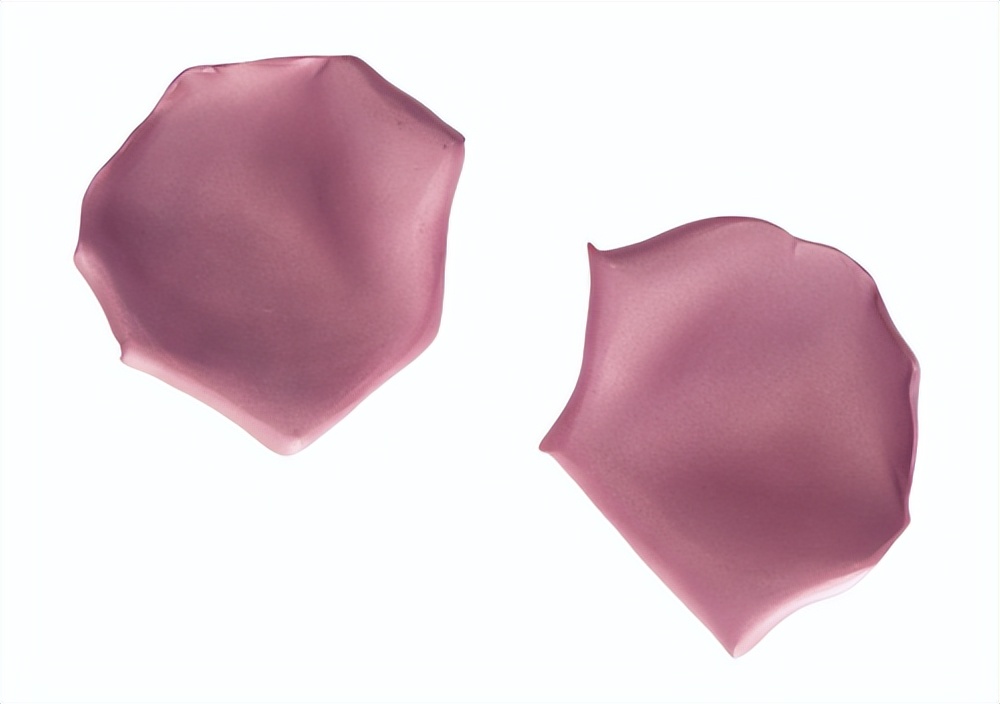 涓轰粈涔堣繖浜涘僵瀹濊繖涔堣吹,鐐僵鐝犲疂