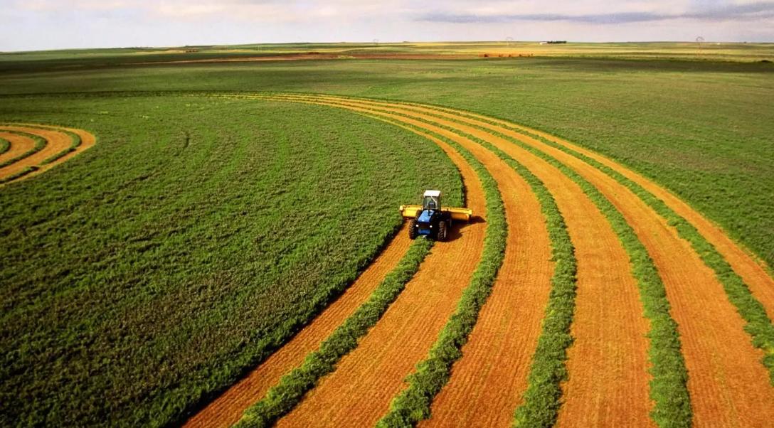 乌克兰在哭泣：屡禁不止的非法*交性**易，带来的影响到底有多大？