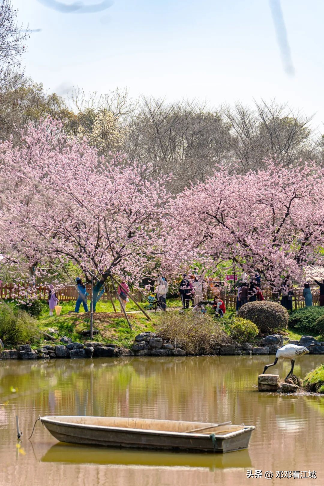 武汉樱花自由行攻略路线,武汉赏樱花两天一夜旅游攻略