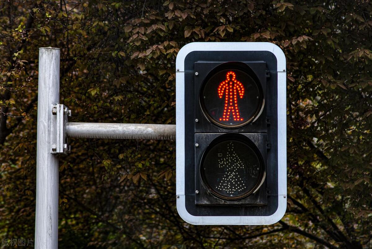 用法治思维谈中国式过马路,运用法治思维分析中国式过马路