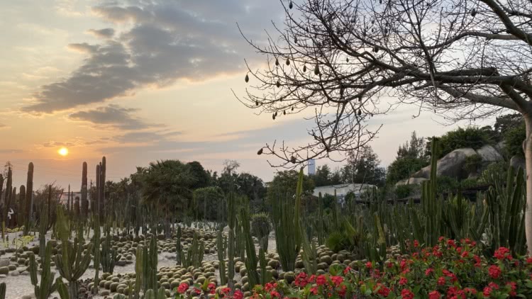 赏城中美景，品厦门味道。城市中心C位酒店，毗邻植物园、中山路