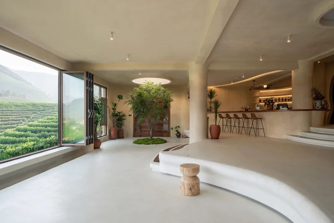 中国茶申遗成功吗,中国茶申遗成功44项名单