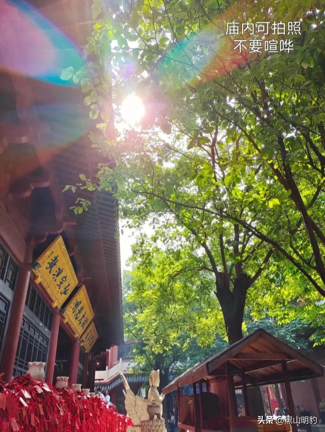 閮戝窞鏅偣鍏嶈垂鎬庝箞棰勭害,閮戝窞鏄ヨ妭鍏嶈垂鏅偣澶у叏