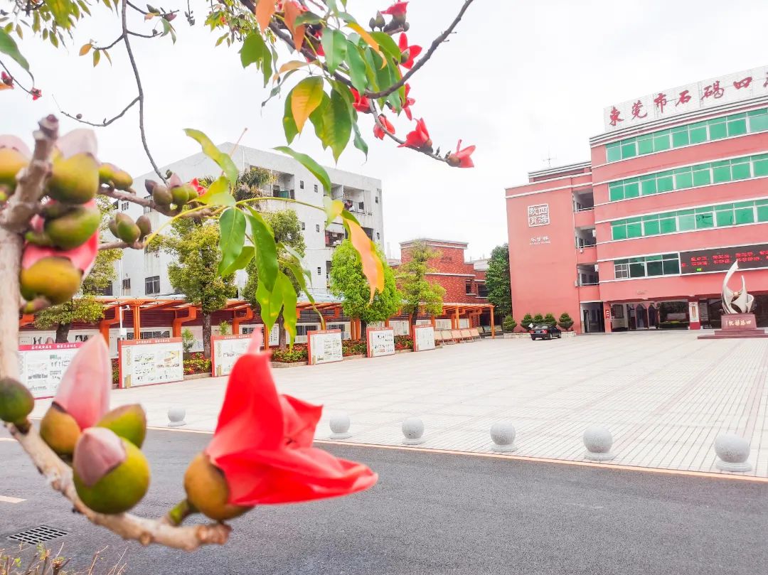 石碣镇四海学校招生电话,东莞石碣四海学校最新视频