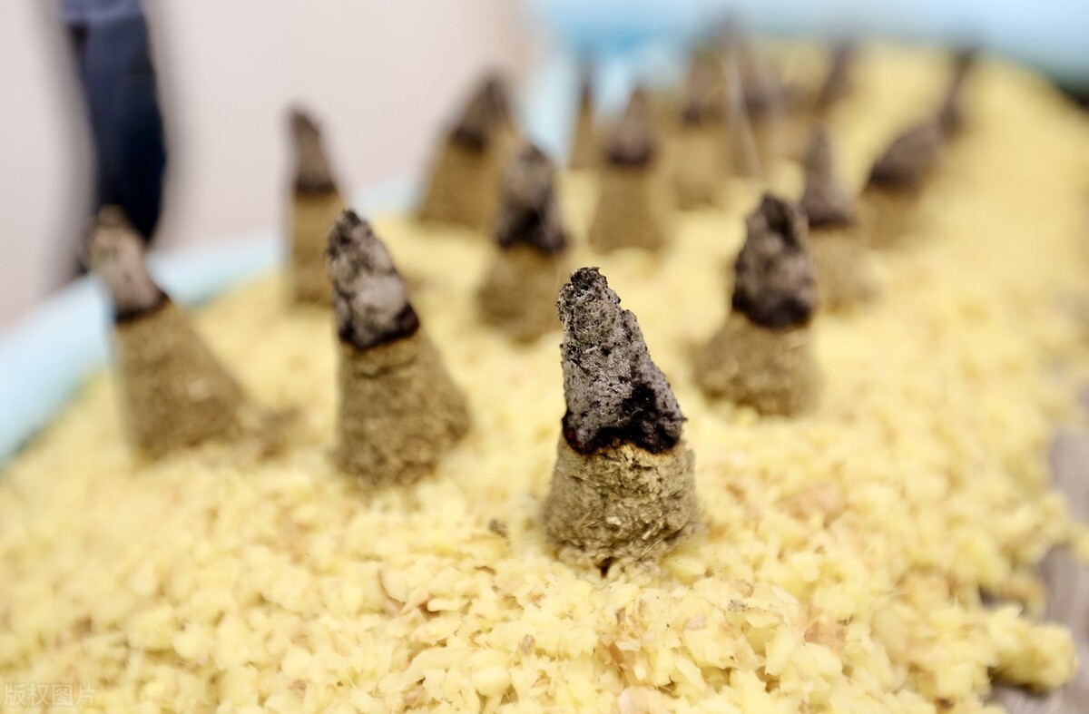 天津中医二附院刘海晔,天津二级中医院治疗癌症最好