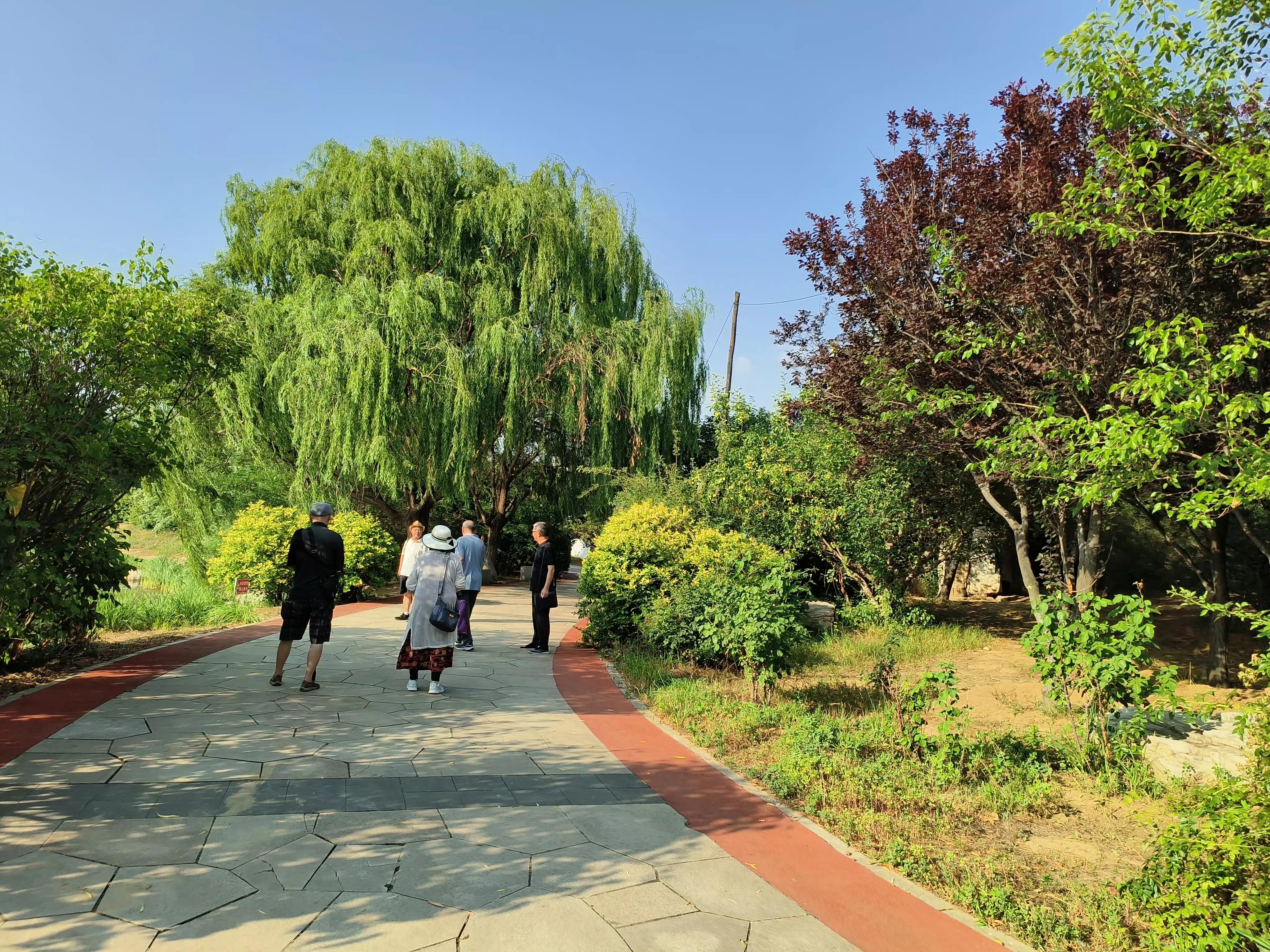 微头条辅助创作工具,怎么创作微头条赚钱