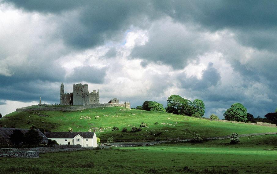 BD医疗,医药行业裁员官方消息公布