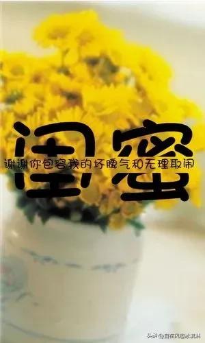 不见不散，相约美好